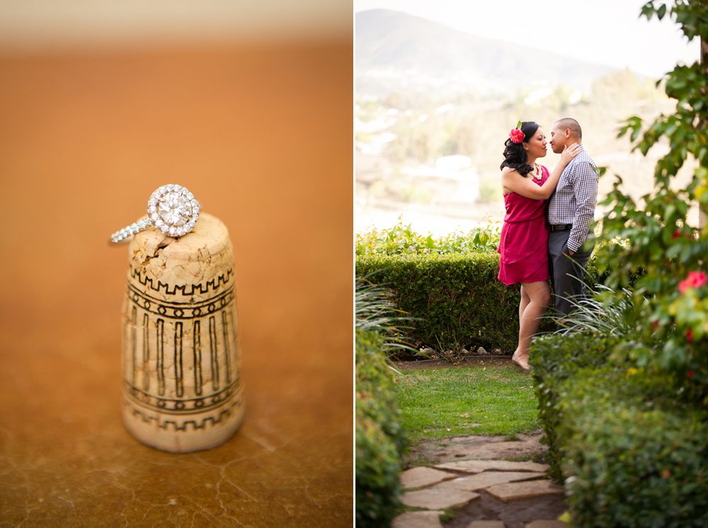 Southcoast-Winery-Engagement-Photography-14