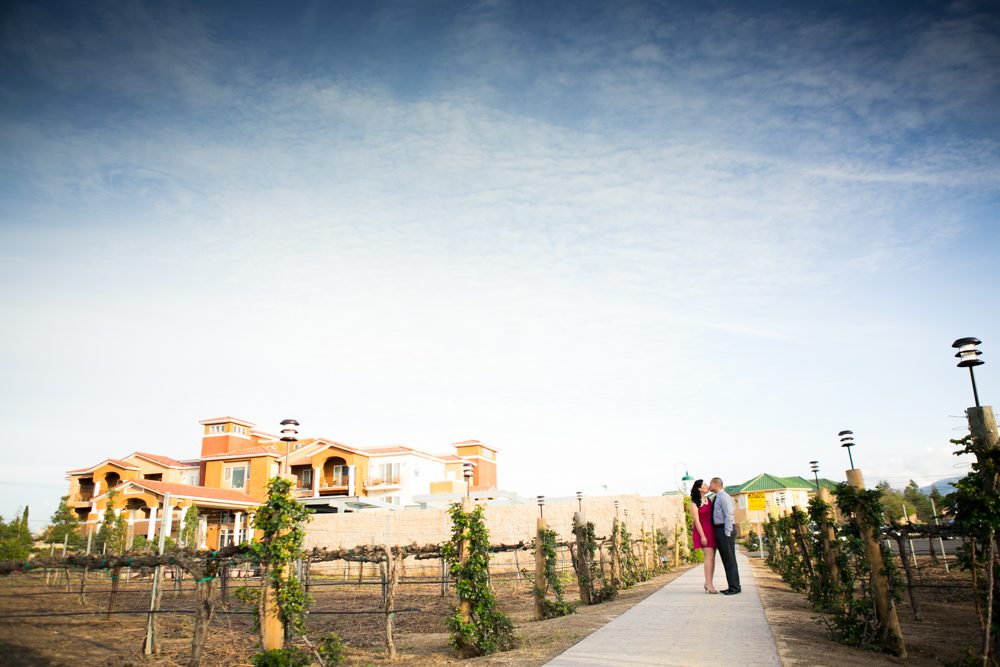 Southcoast-Winery-Engagement-Photography-21